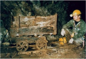 A short description about the picture goes here